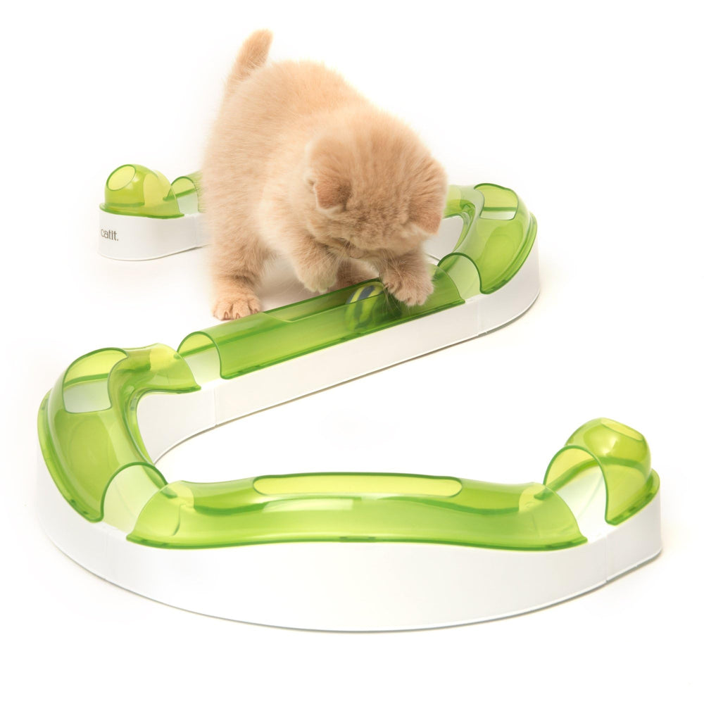 Catit Senses 2.0 Wave Circuit balle: stimulation sensorielle et divertissement pour chats d’intérieur.