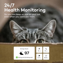 Catlog boucle-securite-a-rupture, visuel du mécanisme garantissant une sécurité renforcée.