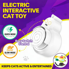CATPICK Hauteur réglable, mouvement adapté pour chats curieux.