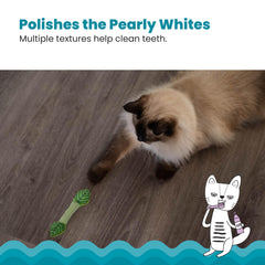 Catstages feuilles douces à mâcher, favorisent la mâchoire et l'activité.