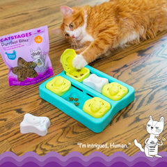 Purrfect Bitez en forme étoile, stimule curiosité et mastication.