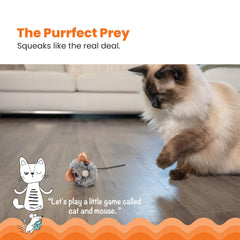 Catstages Souris Action-chasse, déclenche des mouvements et favorise le jeu actif.