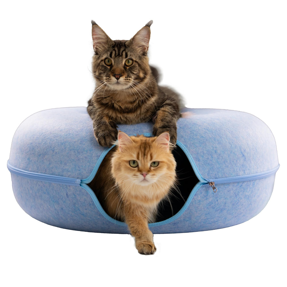 Cattasaurus Peekaboo; cavité donut bleue jumbo pour repos et jeu interactif.