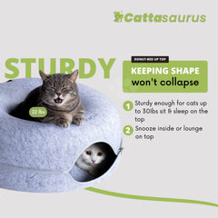Cattasaurus Peekaboo-hublot-chat: fenêtre mini pour interaction ludique et observation.