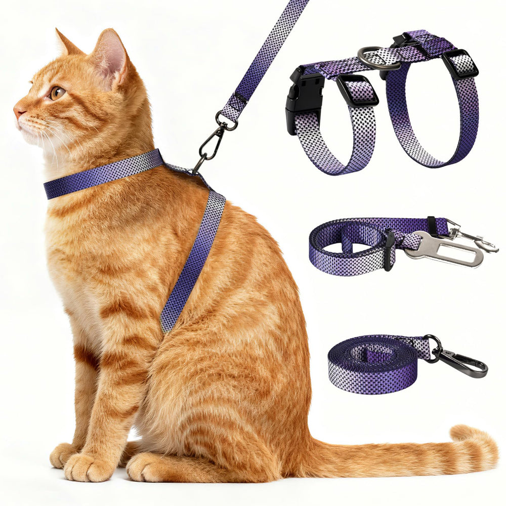 Cattooll harnais-chat 3-en-1 anti-échappement, sécurité lors des sorties.