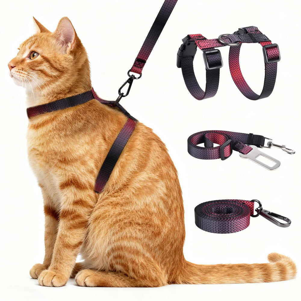 Cattooll harnais-chat ensemble 3 en 1 pour balades faciles et sécurisées.
