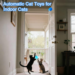 Mode plumes bleu: variations de jeu pour chat curieux.