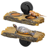 CAVACHEW 2 en 1: plateforme d'alimentation et perchoir pour reptiles et tortues.
