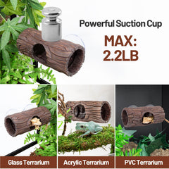 Décor terrarium CAVACHEW, cachette naturelle pour repos et bien-être.