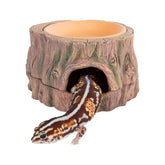 CAVACHEW caverne-reptile-arbre 3 en 1: cachette sûre et naturelle