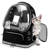 Sac Cawypety pour chat avec bulle transparente, idéale pour séjour en plein air.