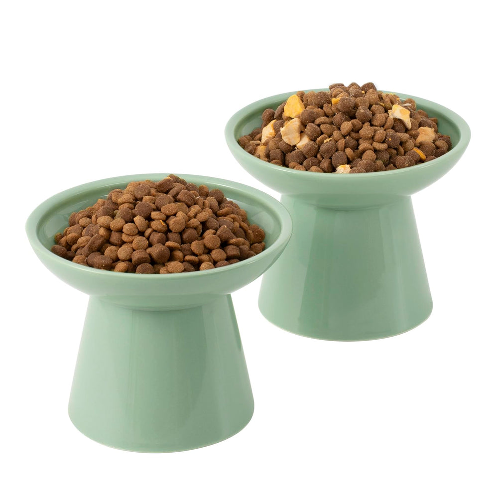 CEEFU bol chat élevé en céramique vert sauge, lot de 2 pour repas ordonnés.