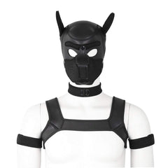 CelILucky hood chien neoprene : capuche confortable et ajustée pour un look ludique.