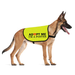 Gilet Cenwa pour chien avec impression double-face et message d’adoption visible.