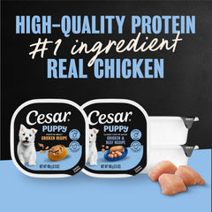 Cesar Chiot Filets en Gravy: morceaux savoureux prêts à servir