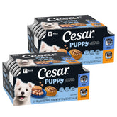 Cesar Chiot Loaf en Sauce: portions tendres pour repas appétissant et digestible