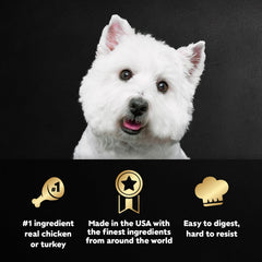 Cesar Filets en Gravy dinde recette sur plateau, texture tendre pour chien adulte.