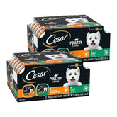 Cesar Filets en Gravy poulet rotisserie dans un plateau, repas pratique pour chien adulte.