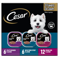 Cesar Filets en sauce Filet Mignon, barquette pratique et riche en protéines pour chien actif.