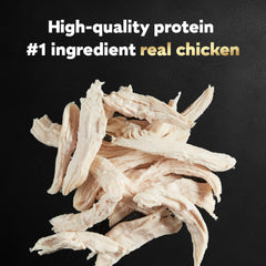 Repas principal pour petits chiens avec Cesar Filets en Gravy.