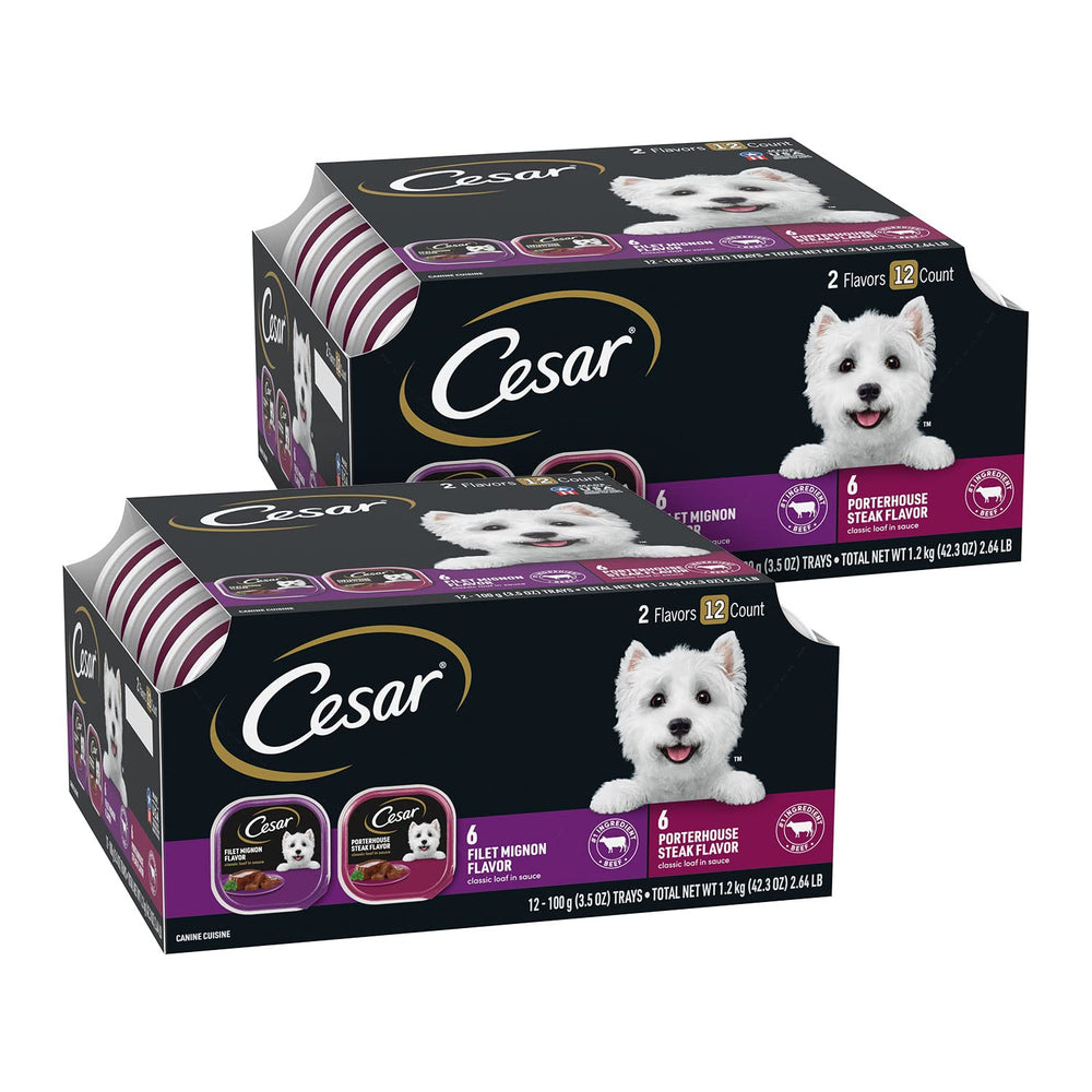Cesar pâté en sauce filet mignon, portion gourmande pour chien, prête à servir.