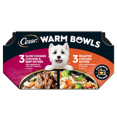 Cesar Warm Bowls – variété poulet et boeuf, repas gourmet pour chien adulte.
