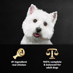 Cesar Wholesome Bowls ingrédients-clefs: poulet et légumes de qualité pour nutrition équilibrée