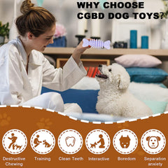 Jouet dentition petit chien par CGBD, surface irrégulière pour masser les gencives.