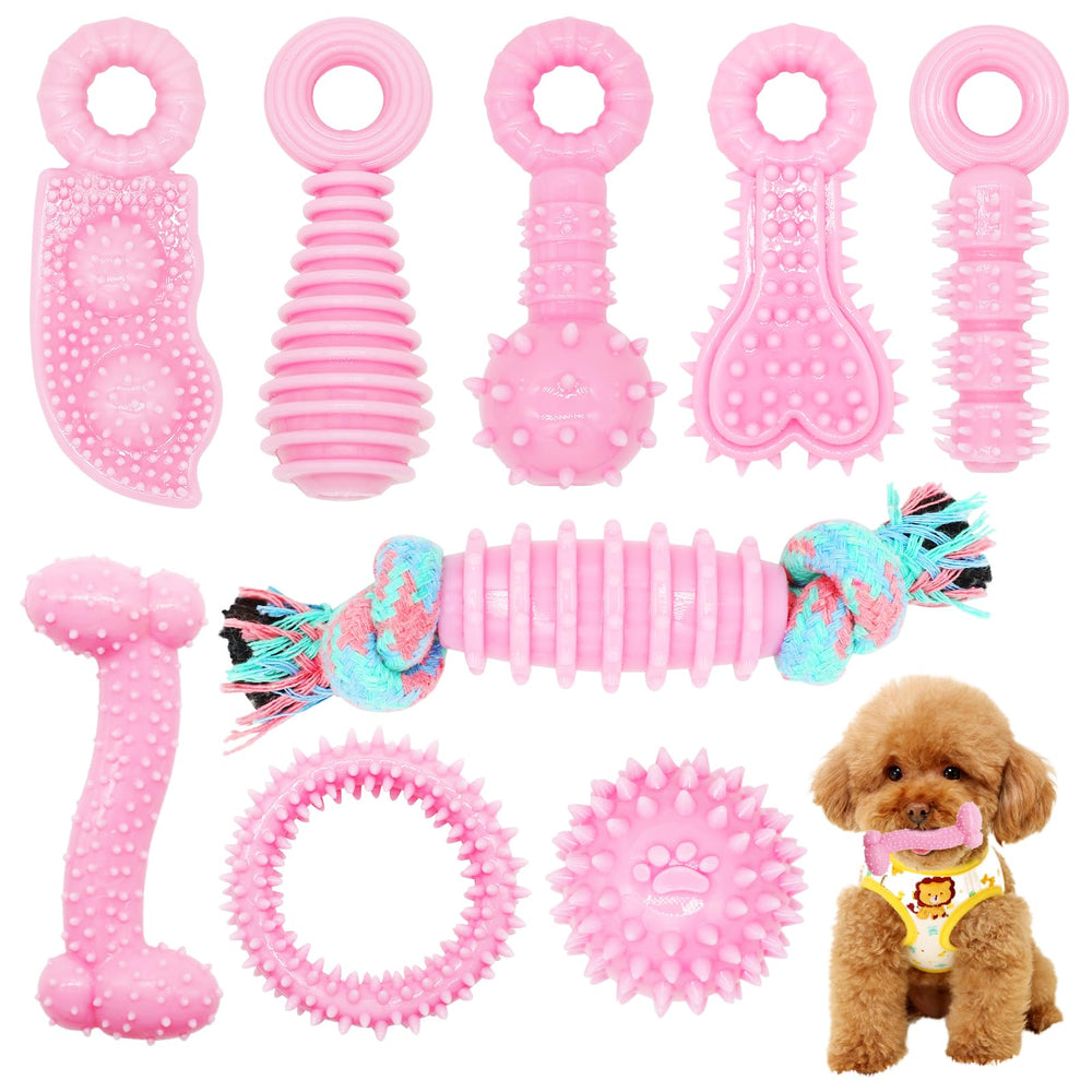 Jouets CGBD Chiot: 9 formes différentes pour stimuler l'esprit et la dentition.