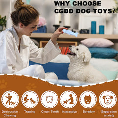 Jouets en caoutchouc naturel CGBD nettoyant les dents des chiots