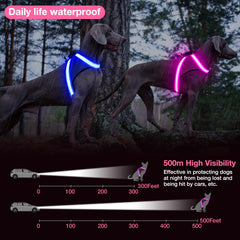 ChalkLit harnais mesh confort: maille respirante et douceur pour le chien.