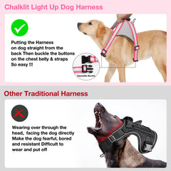 ChalkLit harnais chien: recharge USB pratique pour les sorties nocturnes.