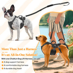 Harnais ChalkLit soutient la patte avant pour déplacements en douceur.