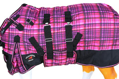 CHALLENGER couverture imperméable et respirante pour poulain en terrain humide.
