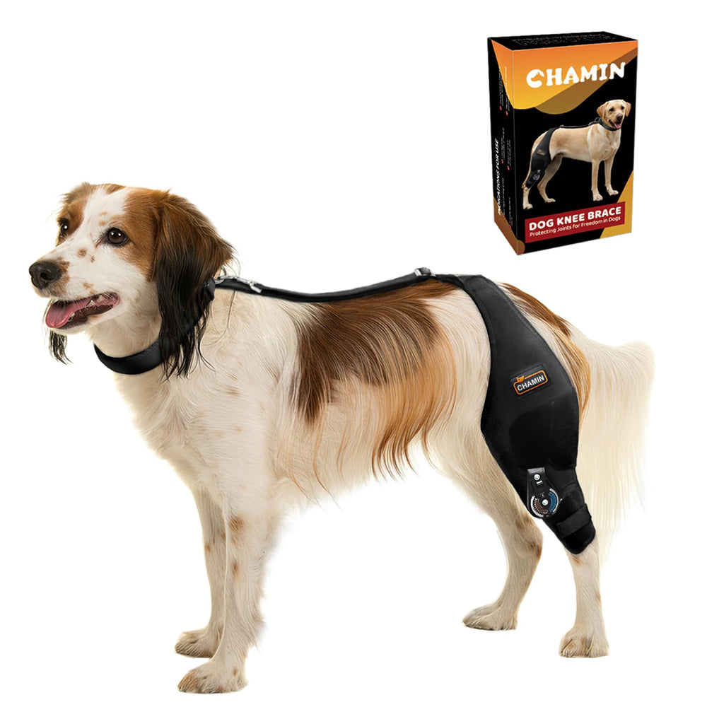 CHAMIN genou-chien-ajustable-arriere pour un soutien stable