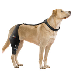 CHAMIN genou-chien-ajustable-droit-xl: soutien fiable pour mobilité