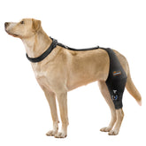 CHAMIN Attelle genou chien ajustable gauche XL : soutien ciblé et confortable.