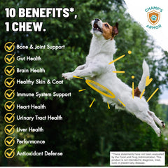 Champ's Armor glucosamine et MSM pour articulations et mobilité.