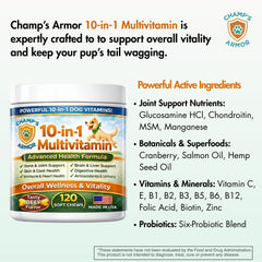 Champ's Armor huile de saumon pour pelage brillant et peau saine.