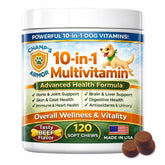 Champ's Armor – boite multivitamine chien 10-en-1, soutien quotidien.