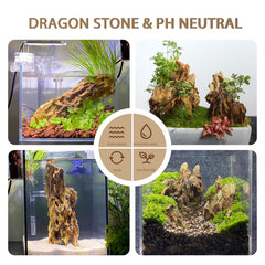 ChaoLeHo Dragon Stones facilite le montage, idéal pour organiser le décor.