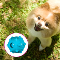 Chase 'n Chomp balle siffleuse Knobble bleue, jeu actif.
