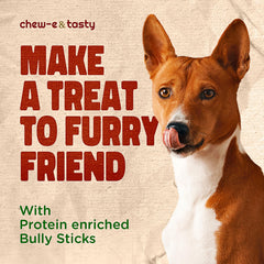 Chew-e-tasty Bully Sticks sans éclats, sécurité renforcée en mastication.