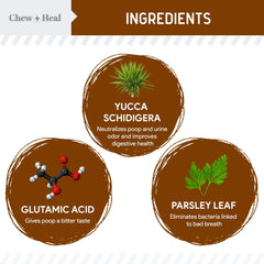 Chew + Heal Labs détournement coprophagie chiot peut aider.