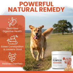 Emballage 4 oz Chew + Heal Labs, pratique et facile à utiliser