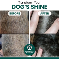 Chew + Heal Labs – huile omega3 pour chiens, formulation végétarienne adaptée à toutes tailles.