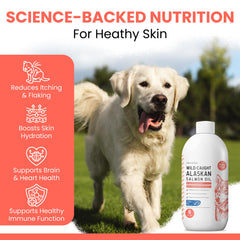 Huile saumon Alaskien de Chew + Heal Labs pour un pelage brillant et peau saine.