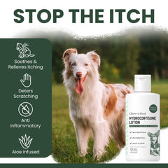 Application ciblee sur peau irritee apres bain chez le chien.