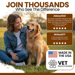 Chew Heal Labs No Poo Chews neutralise odeur selles et urine chez le chien