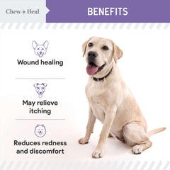 Chew + Heal Labs: application-plaie-brulure pour chiens, soutien léger.